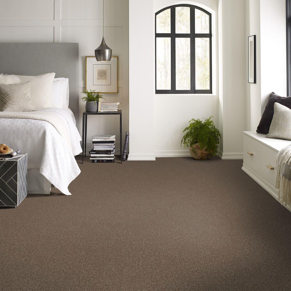 Shaw Yes You Can II Carpet in Worn Path, , large