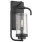 Golden Lighting Holden Wall Sconce in Matte Black, , large