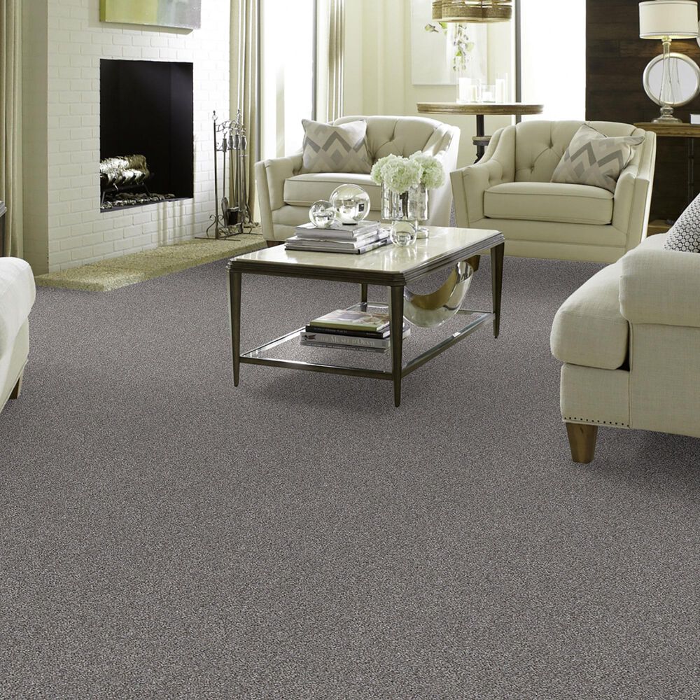 Shaw Just Right II Carpet in Cedar Ridge, , large
