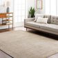 Surya Masterpiece MPC-2303 Medium Gray and Light Gray 12" x 15" Area Rug, , large