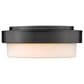 Golden Lighting Multi-Family 10.5" Flush Mount in Matte Black, , large