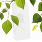 Zagg Invisible Shield Glass Elite Privacy Screen Protector for Apple iPhone 16 Pro Max in Clear, , large