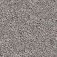 Philadelphia Champagne Taste II Carpet in Vintage, , large