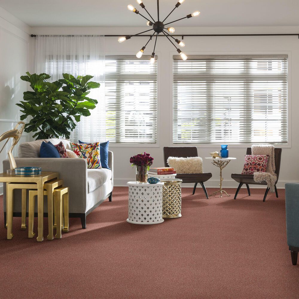 Shaw Find Your Comfort TT I Carpet in Open The Rose, , large