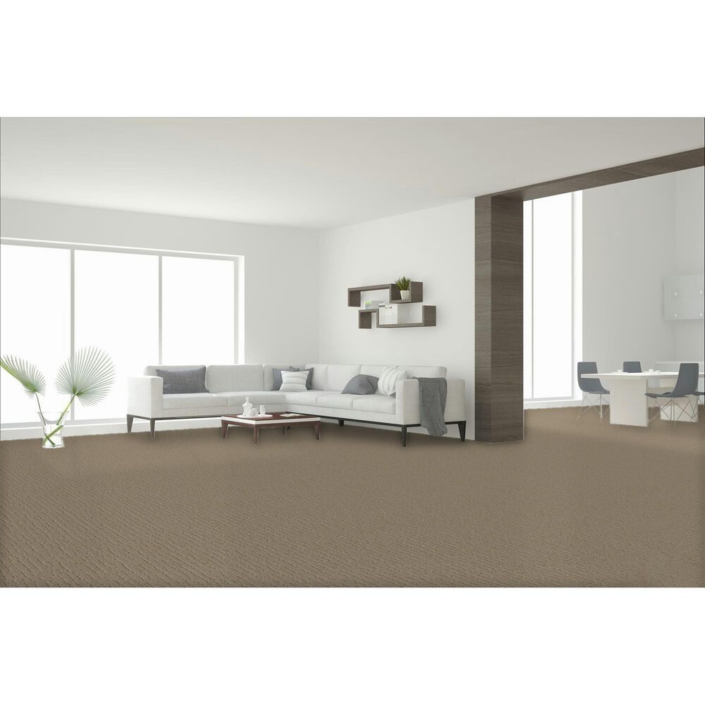 Dream Weaver Natural Attraction Carpet in Joyous, , large