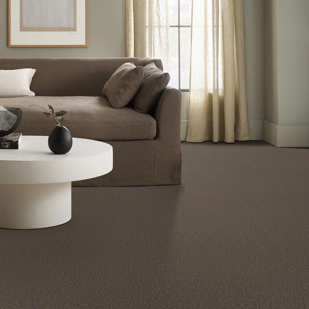 Anderson Tuftex Somerset Carpet in Sable, , large