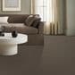 Anderson Tuftex Somerset Carpet in Sable, , large