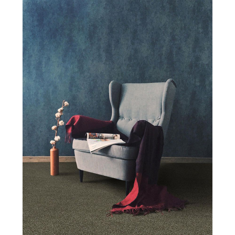 Dream Weaver Acclaim Carpet in Monaco, , large