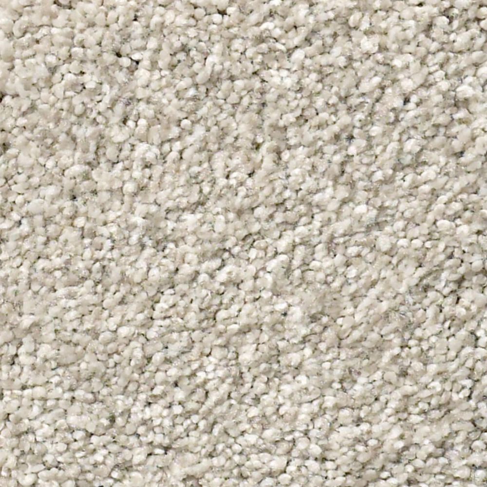 Shaw Pure Comfort II Carpet in Need A Hug, , large