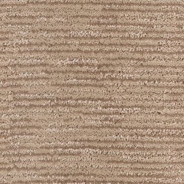 Dixie Home Open Door Carpet in Enticing, , large