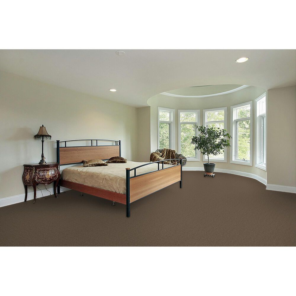 Dream Weaver Cape Cod Carpet in Cocoa, , large