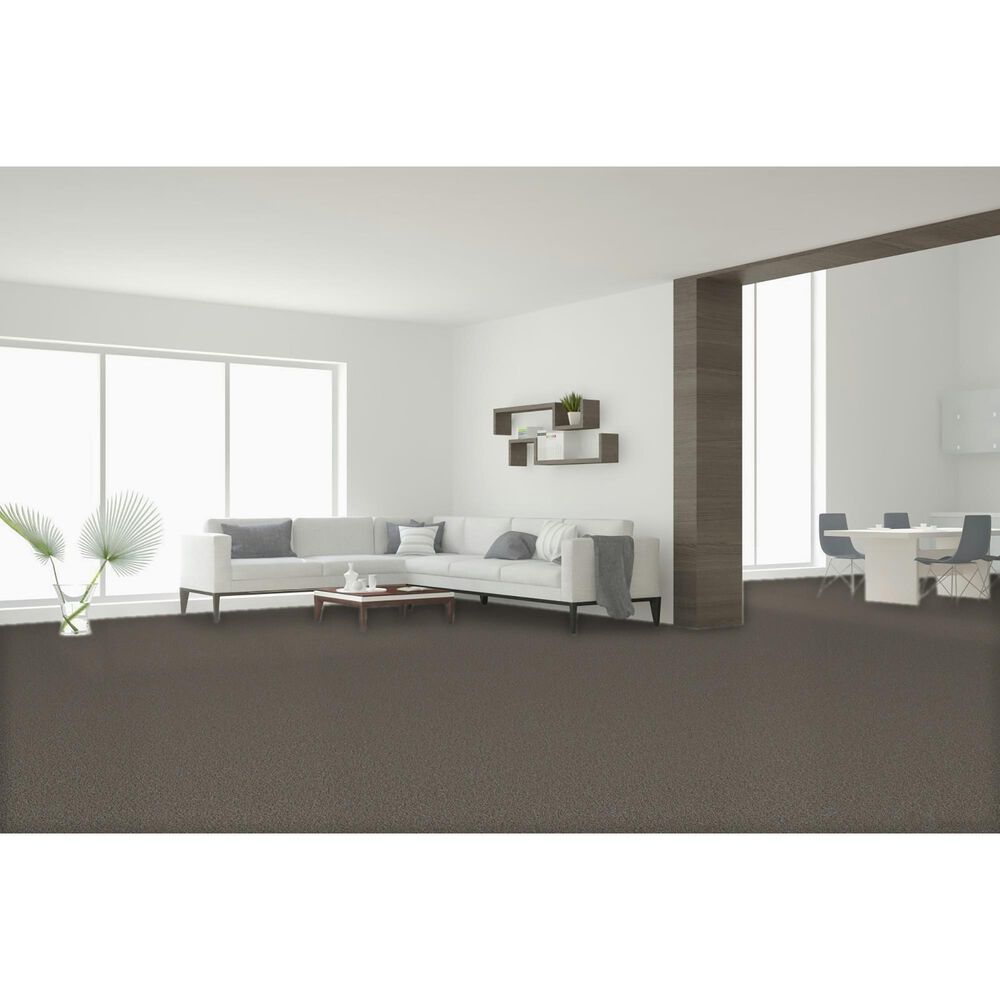Dream Weaver Metropolis III Carpet in Butter Pecan, , large