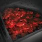 Napoleon Cast Iron Charcoal and Smoker Tray, , large