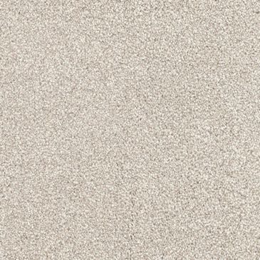Dixie Home Maverick Carpet in Pomeranian, , large