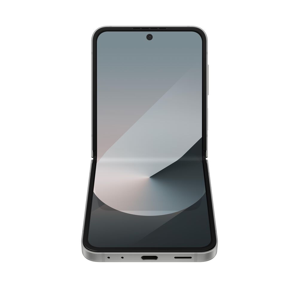 Samsung Galaxy Z Flip6 256gb Silver Shadow, , large