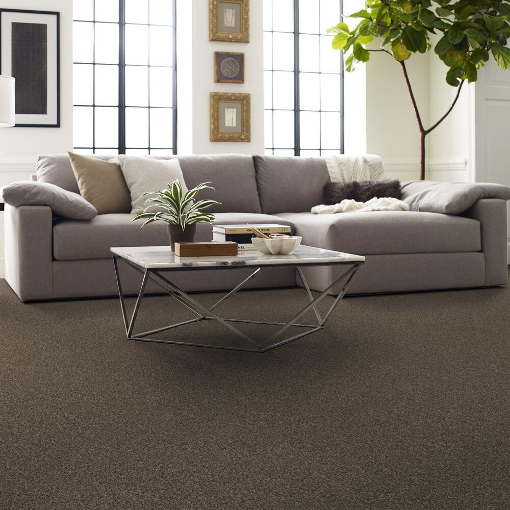 Shaw Yes You Can II Carpet in Mission Ridge, , large