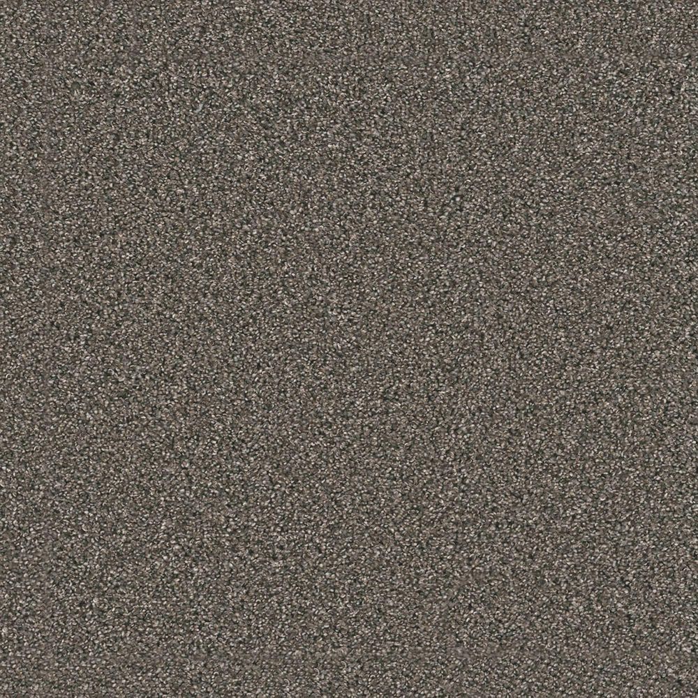 Dream Weaver Windy City III Carpet in Rugby, , large