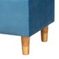 Baxton Studio Elias Storage Ottoman in Sky Blue, , large