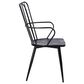 Blue River Parisa Side Chair in Black, , large