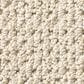 Anderson Tuftex Mera Carpet in Natural, , large