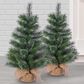 The Gerson Company 30" Hard Needle Pine Tree with Burlap Bag in Green (Set of 2), , large