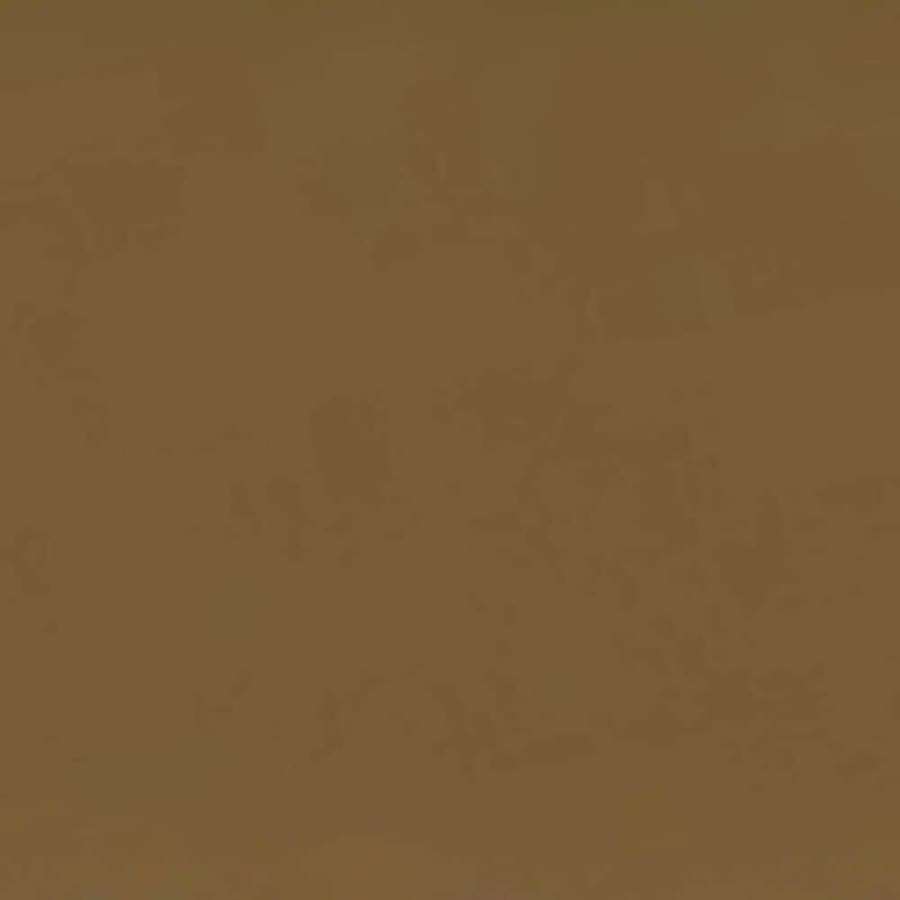 Furniture of America Blair Queen Slat Bed in Gold, , large