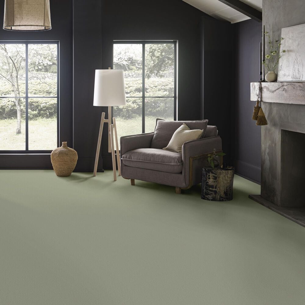 Anderson Tuftex Finery Carpet in Saybrook Sage, , large