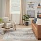 Nourison Astra Machine Washable 6"7" x 9" Light Blue Area Rug, , large