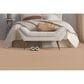 Masland Remarkable Carpet in Fired Clay, , large