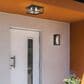 Golden Lighting Smyth 2-Light Outdoor Flush Mount with Seeded Glass Shade in Natural Black, , large