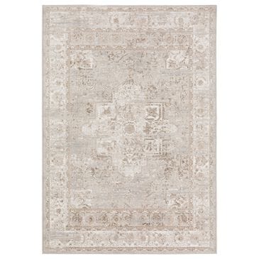 Dalyn Rug Company Rhodes Oriental 5"1" x 7"5" Taupe Area Rug, , large