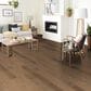Robbins Natures Canvas Gold Sun Kissed Oak Hardwood, , large