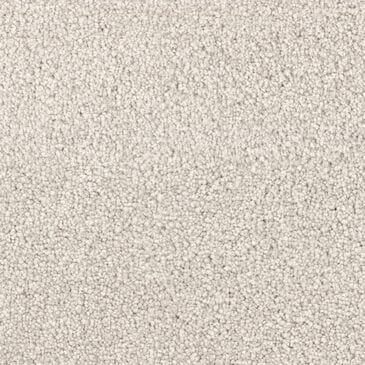 Dixie Home Gentle Wind Carpet in Cabana, , large