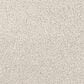 Dixie Home Gentle Wind Carpet in Cabana, , large