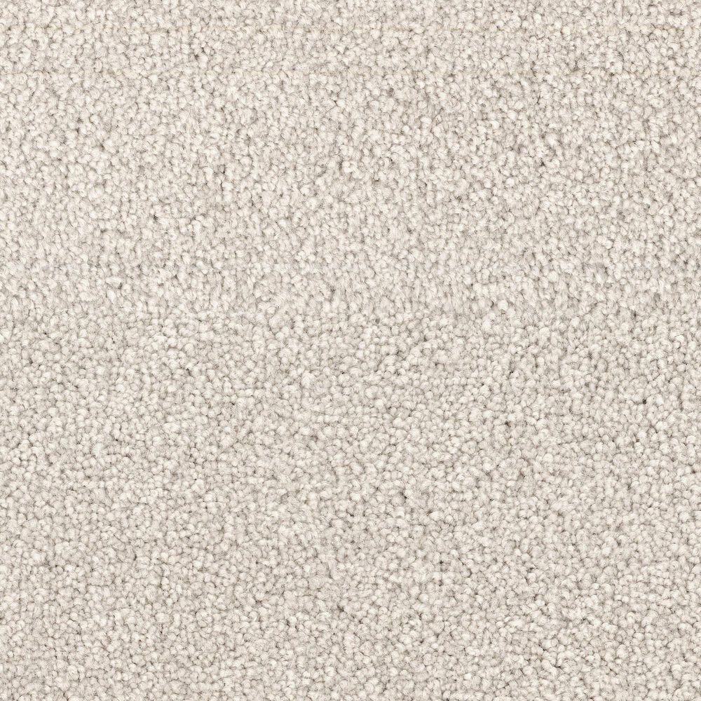Dixie Home Gentle Wind Carpet in Cabana, , large