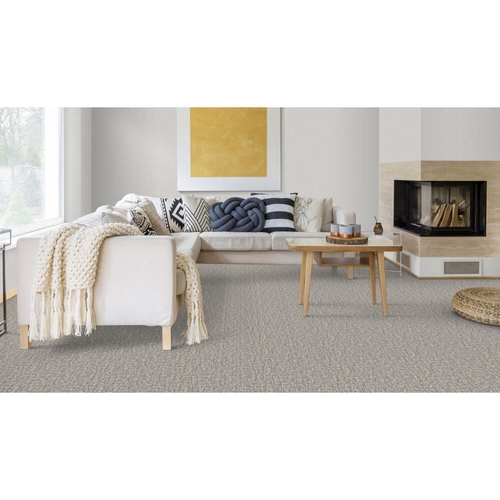 Dixie Home Crystal Oasis Carpet in Wrought Iron, , large