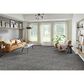 Phenix Aviara Carpet in Scenic, , large