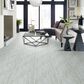 Other Casino Zebrino 12" x 24" Porcelain Tile, , large