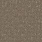 Phenix Madras Carpet in Tawny, , large