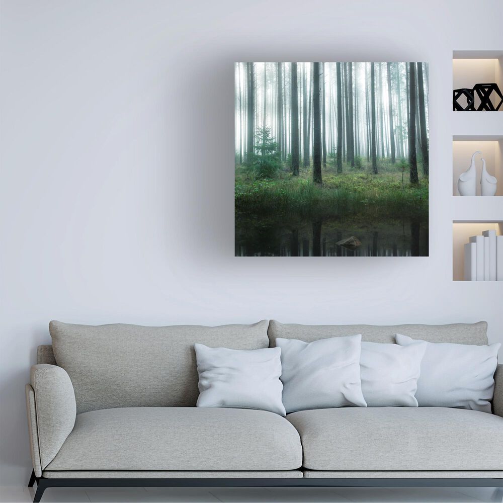 Timberlake Christian Lindsten &#39;Lake In Forest&#39; 24&quot; x 24&quot; Canvas Art, , large