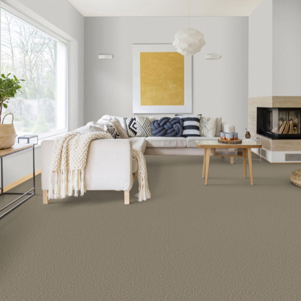 Dixie Home Riverbend Carpet in Quarry, , large