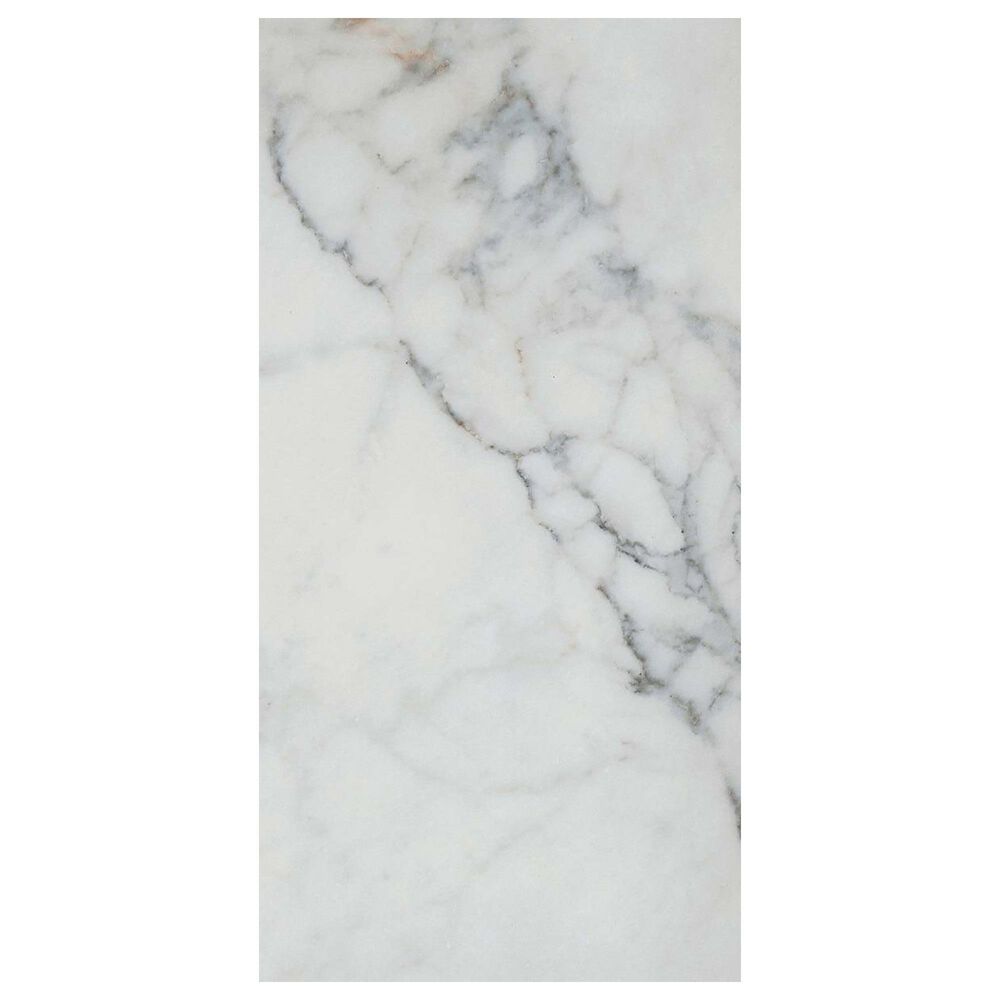 Emser Parkview White 12" x 24" Matte Porcelain Tile, , large