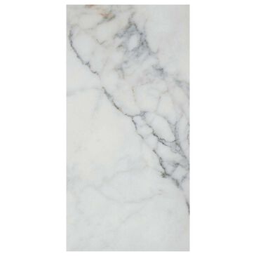 Emser Parkview White 12" x 24" Matte Porcelain Tile, , large