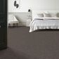 Anderson Tuftex Evoke Carpet in Walnut, , large