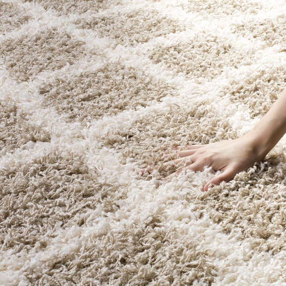 Safavieh Dallas Shag SGD258D-4 4&#39; x 6&#39; Beige/Ivory Area Rug, , large