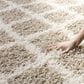 Safavieh Dallas Shag SGD258D-4 4" x 6" Beige/Ivory Area Rug, , large