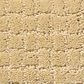 Anderson Tuftex Pawstruck Carpet in Cork, , large