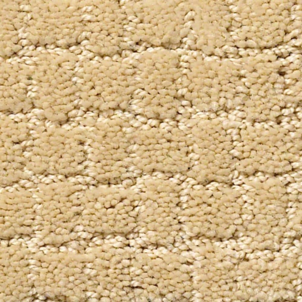 Anderson Tuftex Pawstruck Carpet in Cork, , large