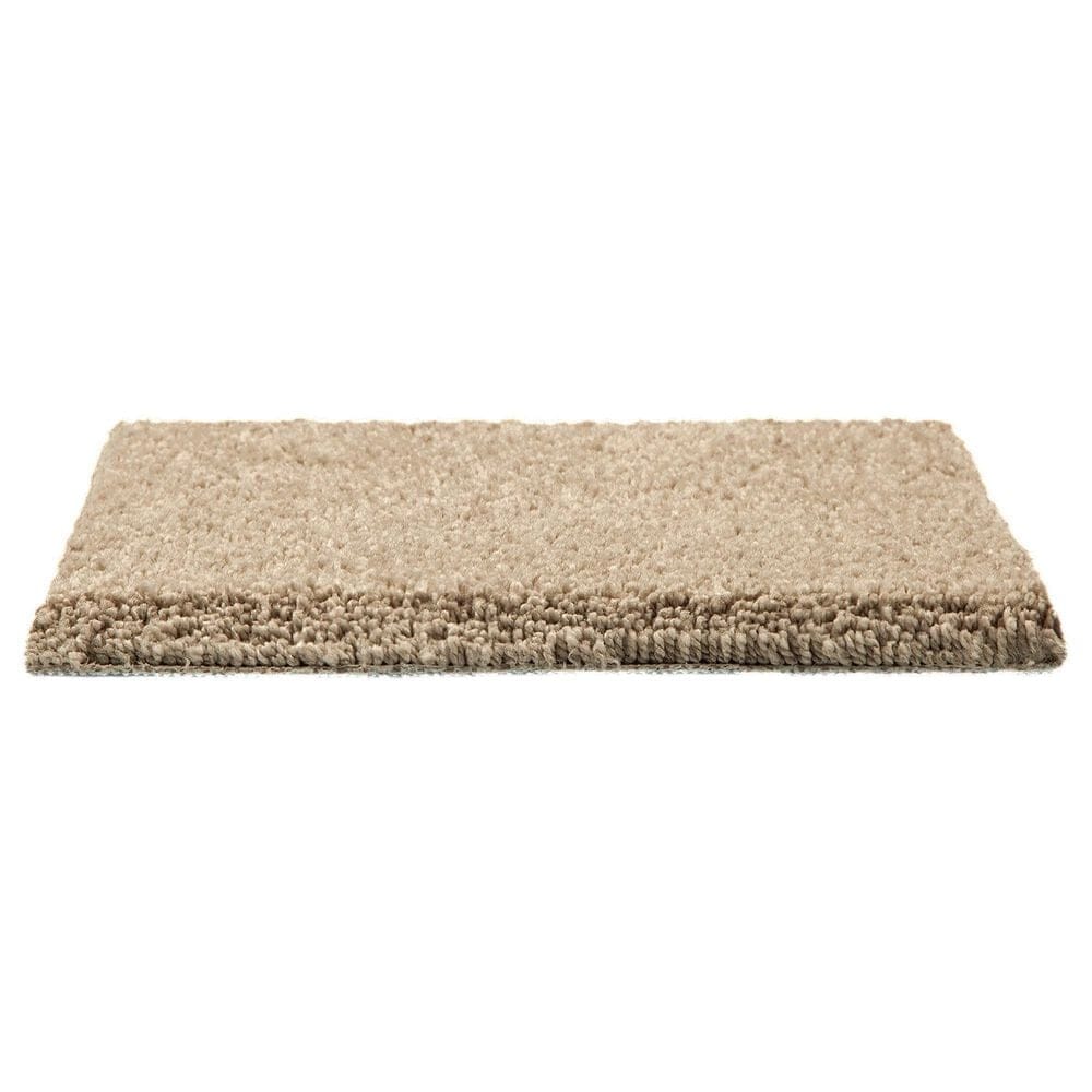 Mohawk Pleasant Touch Carpet in Canterbury, , large