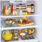 LG 20 Cu. Ft. Top Freezer Refrigerator Reversible Door in Stainless Steel, , large